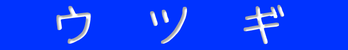 ウ ツ ギ